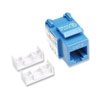 Maycom - Mayoristas en computación - JACK CAT6E IMPACTO KEYSTONE AZUL INTELLI