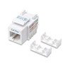Maycom - Mayoristas en computación - JACK CAT5E IMPACTO(KEYSTONE) BCO INTELLI